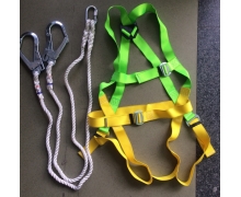 Dây đai an toàn toàn thân 2 móc lớn Adela Taiwan